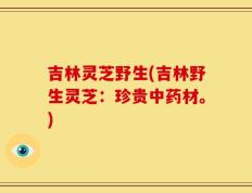 吉林灵芝野生(吉林野生灵芝：珍贵中药材。)