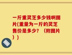 一斤重灵芝多少钱啊图片(重量为一斤的灵芝售价是多少？（附图片）)
