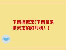 下雨摘灵芝(下雨是采摘灵芝的好时机！)
