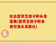 吃去壁灵芝孢子粉头发变黑(壁灵芝孢子粉食用引发头发黑化)