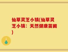 仙草灵芝小镇(仙草灵芝小镇：天然健康苗圃)
