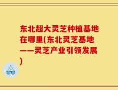 东北超大灵芝种植基地在哪里(东北灵芝基地——灵芝产业引领发展)