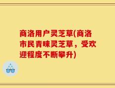 商洛用户灵芝草(商洛市民青睐灵芝草，受欢迎程度不断攀升)