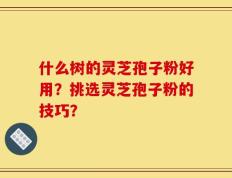 什么树的灵芝孢子粉好用？挑选灵芝孢子粉的技巧？