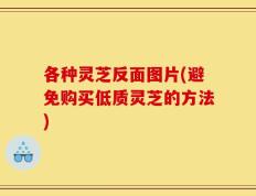 各种灵芝反面图片(避免购买低质灵芝的方法)