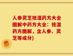人参灵芝祛湿药方大全图解中药方大全：祛湿药方图解，含人参、灵芝等成分)
