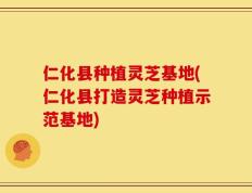 仁化县种植灵芝基地(仁化县打造灵芝种植示范基地)