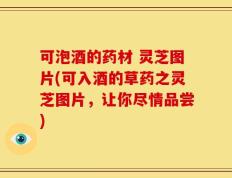 可泡酒的药材 灵芝图片(可入酒的草药之灵芝图片，让你尽情品尝)