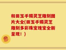 和田玉手镯灵芝雕刻图片大全(田玉手镯灵芝雕刻多彩珠宝瑰宝全新呈现！)