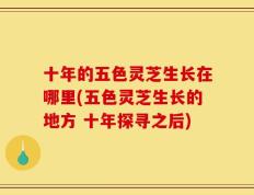 十年的五色灵芝生长在哪里(五色灵芝生长的地方 十年探寻之后)