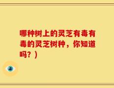 哪种树上的灵芝有毒有毒的灵芝树种，你知道吗？)