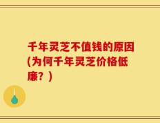 千年灵芝不值钱的原因(为何千年灵芝价格低廉？)