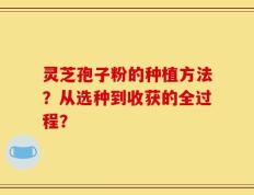 灵芝孢子粉的种植方法？从选种到收获的全过程？