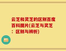 云芝和灵芝的区别百度百科图片(云芝与灵芝：区别与辨析)