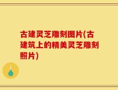 古建灵芝雕刻图片(古建筑上的精美灵芝雕刻照片)