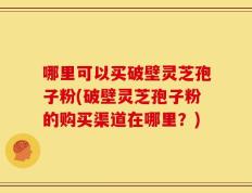 哪里可以买破壁灵芝孢子粉(破壁灵芝孢子粉的购买渠道在哪里？)