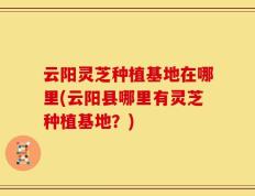 云阳灵芝种植基地在哪里(云阳县哪里有灵芝种植基地？)