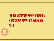 分辨灵芝孢子粉的图片(灵芝孢子粉的图片解析)