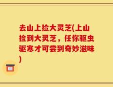去山上捡大灵芝(上山捡到大灵芝，任你驱虫驱寒才可尝到奇妙滋味)