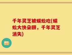 千年灵芝被蜈蚣吃(蜈蚣大快朵颐，千年灵芝消失)