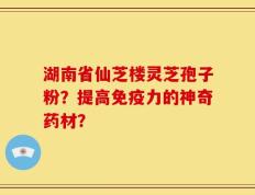湖南省仙芝楼灵芝孢子粉？提高免疫力的神奇药材？