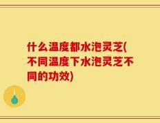 什么温度都水泡灵芝(不同温度下水泡灵芝不同的功效)