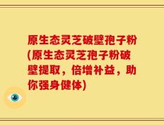 原生态灵芝破壁孢子粉(原生态灵芝孢子粉破壁提取，倍增补益，助你强身健体)