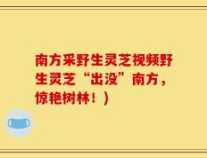 南方采野生灵芝视频野生灵芝“出没”南方，惊艳树林！)