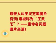 哪些人叫王灵芝呢图片高清(谁被称为“王灵芝”？——重命名问题图片高清)