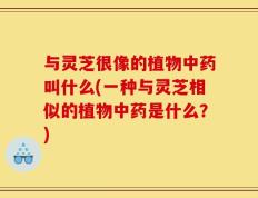 与灵芝很像的植物中药叫什么(一种与灵芝相似的植物中药是什么？)