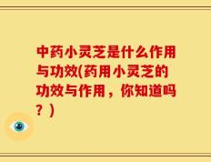 中药小灵芝是什么作用与功效(药用小灵芝的功效与作用，你知道吗？)