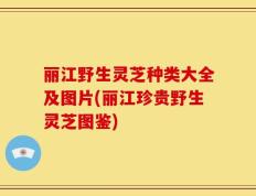 丽江野生灵芝种类大全及图片(丽江珍贵野生灵芝图鉴)