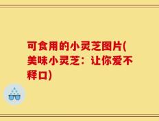 可食用的小灵芝图片(美味小灵芝：让你爱不释口)
