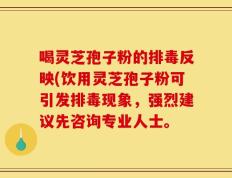 喝灵芝孢子粉的排毒反映(饮用灵芝孢子粉可引发排毒现象，强烈建议先咨询专业人士。