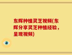 东辉种植灵芝视频(东辉分享灵芝种植经验，呈现视频)