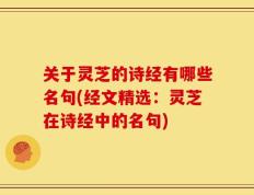 关于灵芝的诗经有哪些名句(经文精选：灵芝在诗经中的名句)