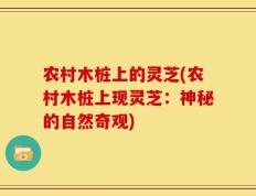 农村木桩上的灵芝(农村木桩上现灵芝：神秘的自然奇观)