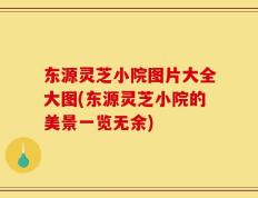 东源灵芝小院图片大全大图(东源灵芝小院的美景一览无余)