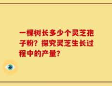 一棵树长多少个灵芝孢子粉？探究灵芝生长过程中的产量？