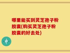 哪里能买到灵芝孢子粉胶囊(购买灵芝孢子粉胶囊的好去处)