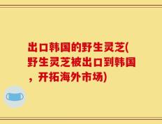 出口韩国的野生灵芝(野生灵芝被出口到韩国，开拓海外市场)