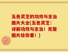 五色灵芝的功效与主治图片大全(五色灵芝：详解功效与主治！完整图片给你看！)