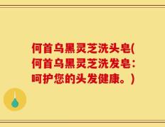 何首乌黑灵芝洗头皂(何首乌黑灵芝洗发皂：呵护您的头发健康。)
