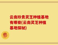 云南珍贵灵芝种植基地有哪些(云南灵芝种植基地探秘)