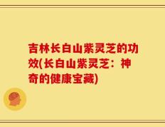 吉林长白山紫灵芝的功效(长白山紫灵芝：神奇的健康宝藏)