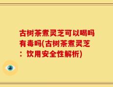 古树茶煮灵芝可以喝吗有毒吗(古树茶煮灵芝：饮用安全性解析)