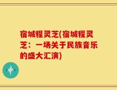 宿城程灵芝(宿城程灵芝：一场关于民族音乐的盛大汇演)