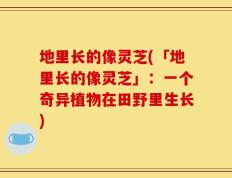 地里长的像灵芝(「地里长的像灵芝」：一个奇异植物在田野里生长)