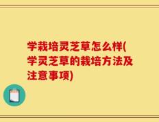 学栽培灵芝草怎么样(学灵芝草的栽培方法及注意事项)