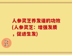 人参灵芝养发谐的功效(人参灵芝：增强发质，促进生发)